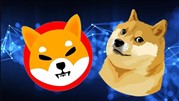 تفاوت ارز دیجیتال شیبا و دوج کوین 