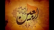 کاروان پیاده‌روی ویژه دانش آموزان انجمن اسلامی