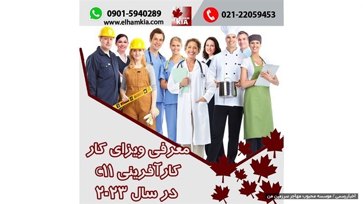 معرفی ویزای کار کارآفرینی C11در سال 2023 معرفی ویزای کار کارآفرینی C11در سال 2023