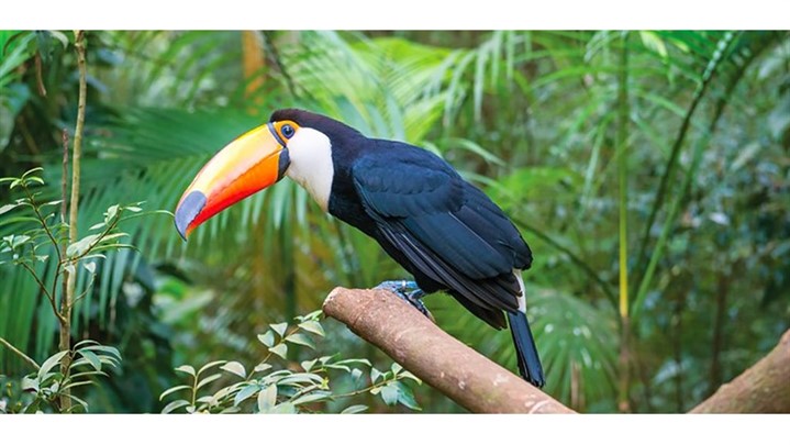 جاهای دیدنی اصفهان در روز را بشناسید