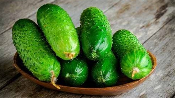 چگونگی ارسال خیار صادراتی به عراق ! چگونگی ارسال خیار صادراتی به عراق !