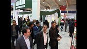 نمایشگاهی در مسیر توسعه پایدار کشاورزی 