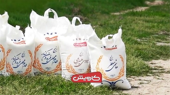 بررسی قیمت برنج در سال جاری