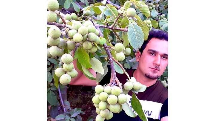 نقشه گنج درآمد میلیونی فقط با خرید نهال از نهالستان معتبر