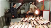 ماهی و آبزیان تا اسفند ماه گران نمی شود
