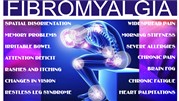 فیبرومیالژیا (Fibromyalgia) یا دردهای مزمن عضلانی – اسکلتی چیست؟