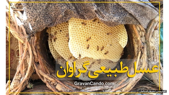 عسل خودبافت گراوان دست نخورده ترین عسل طبیعی ایران عسل خودبافت گراوان دست نخورده ترین عسل طبیعی ایران