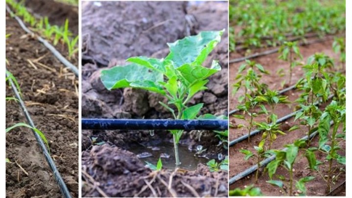 نقش لوله پلی اتیلن در مدیریت چالش‌های خشکسالی و بحران کم آبی در ایران