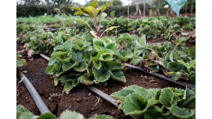نقش لوله پلی اتیلن در مدیریت چالش‌های خشکسالی و بحران کم آبی در ایران