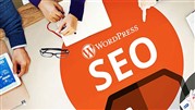 سئو وردپرس چیست؟