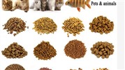 خطوط تولید غذای سگ و گربه