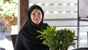 تماشای ثمره سرطان در «سمر» تماشای ثمره سرطان در «سمر»