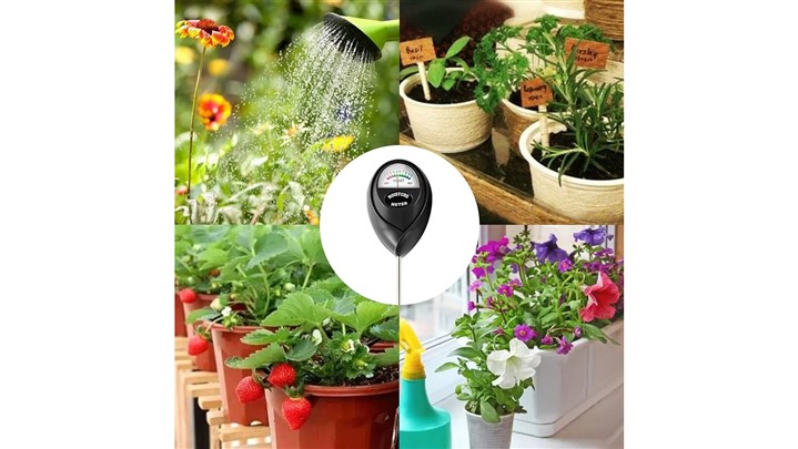 ​​موفقیت تضمینی در کشاورزی