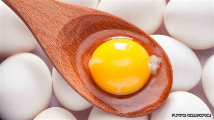 آیا خرید عمده تخم مرغ به صرفه است؟ آیا خرید عمده تخم مرغ به صرفه است؟