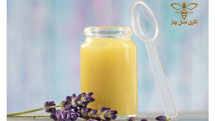 ژل رویال یا ژل سلطنتی از چه چیزهایی تشکیل شده است ژل رویال یا ژل سلطنتی از چه چیزهایی تشکیل شده است