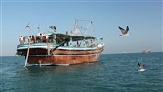 ترافیک تورهای صیادی برای صید ماهیان خلیج فارس