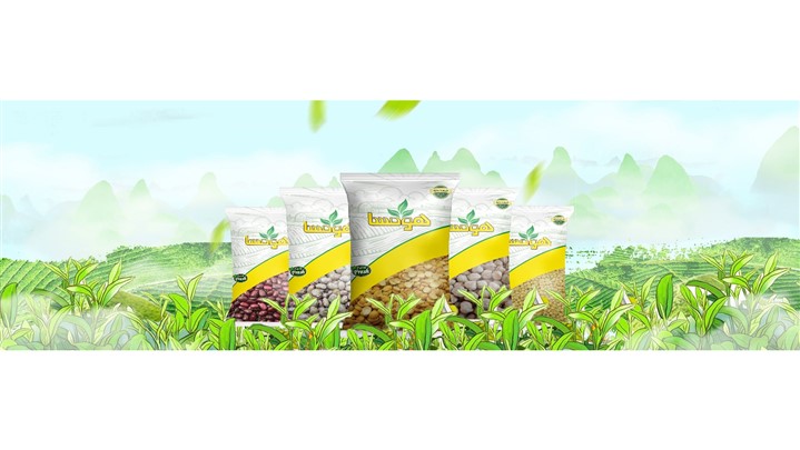 چگونه بهترین حبوبات بسته بندی را خرید کنیم؟ چگونه بهترین حبوبات بسته بندی را خرید کنیم؟