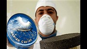 پیش بینی تولید 3 تن خاویار در سال جاری