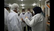 سازیبا، میزبان جمعی از مدیران اداره کار و سازمان تامین اجتماعی استان البرز شد  سازیبا، میزبان جمعی از مدیران اداره کار و سازمان تامین اجتماعی استان البرز