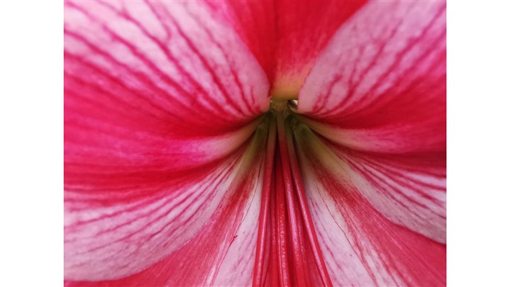 در هر شرایطی که هستید، لطفا عکس بگیرید!