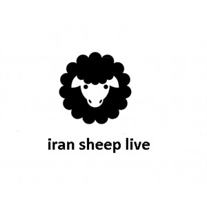 ایران شیپ لایو