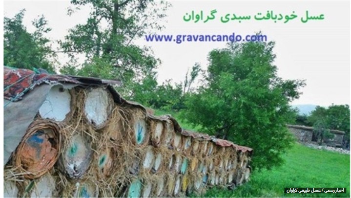 عسل خودبافت یک عسل کاملا ارگانیک و دست نخورده از قلب طبیعت کوهستان عسل خودبافت یک عسل کاملا ارگانیک و دست نخورده از قلب طبیعت کوهستان