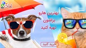 وب‌سایت پت شاپ آنلاین لولاک رونمایی شد