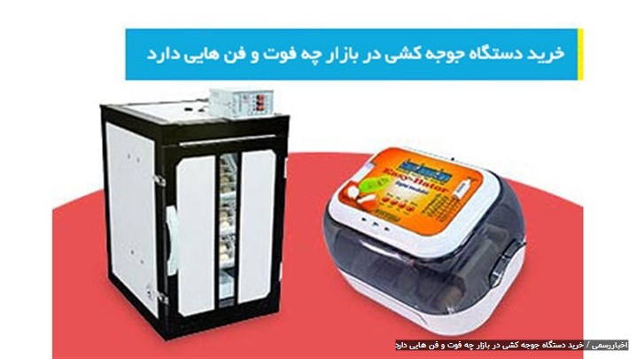 خرید دستگاه جوجه کشی در بازار چه فوت و فن هایی دارد خرید دستگاه جوجه کشی در بازار چه فوت و فن هایی دارد