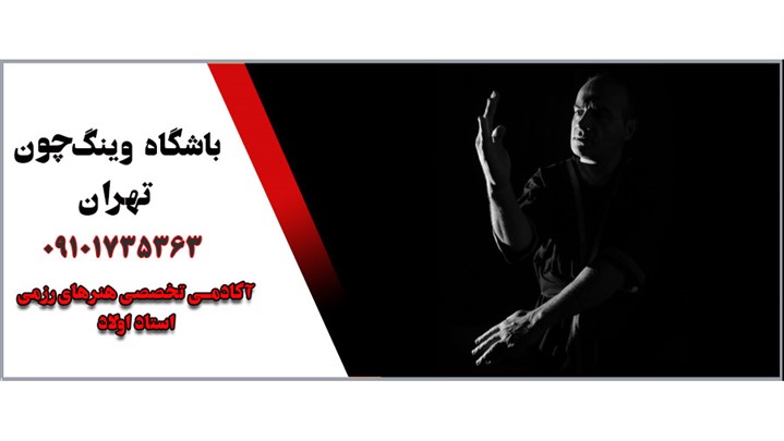 وینگ چون چیست + آموزش وینگ چون وینگ چون چیست + آموزش وینگ چون