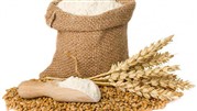 کاربرد، طرز تهیه و معرفی مراکز خرید نشاسته گندم