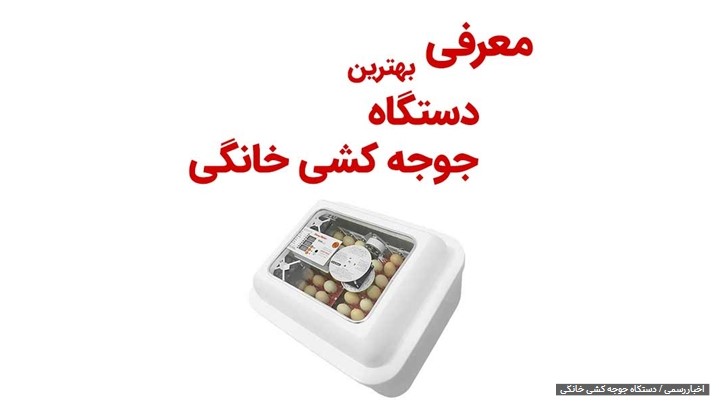 معرفی بهترین دستگاه جوجه کشی خانگی معرفی بهترین دستگاه جوجه کشی خانگی