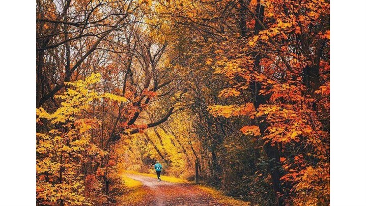 حال و هوای سفرهای شمالی در فصل زیبای پاییز حال و هوای سفرهای شمالی در فصل زیبای پاییز