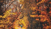 حال و هوای سفرهای شمالی در فصل زیبای پاییز حال و هوای سفرهای شمالی در فصل زیبای پاییز
