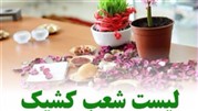 شعب کشیک بانک ایران زمین در پایان سال 95