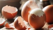 علت ترک خوردن تخم مرغ آب پز و راه های جلوگیری از آن را یاد بگیر