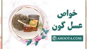 عسل گون چیست؟ خواص عسل گون