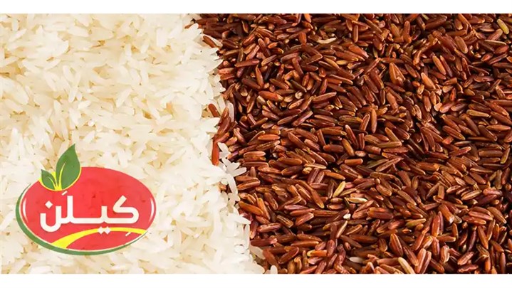 از کجا برنج ایرانی طارم و هاشمی و صدری و دم سیاه با کیفیت خریداری کنیم؟