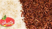 از کجا برنج ایرانی طارم و هاشمی و صدری و دم سیاه با کیفیت خریداری کنیم؟