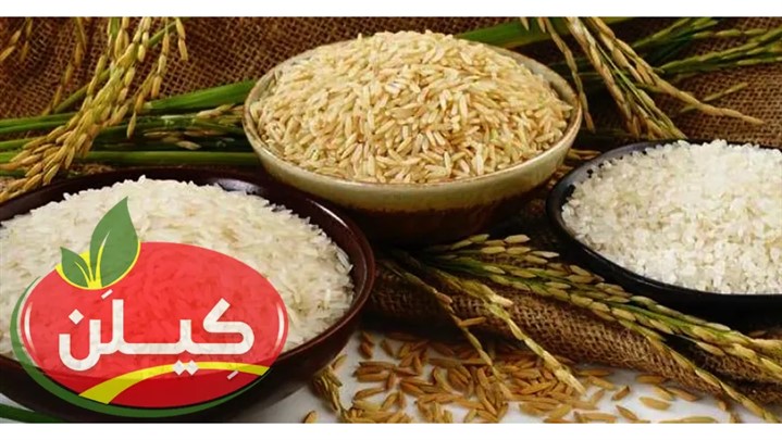 از بین برنج طارم و دم سیاه و صدری و هاشمی کدام برنج را خریداری کنیم؟