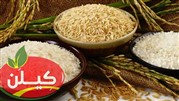 از بین برنج طارم و دم سیاه و صدری و هاشمی کدام برنج را خریداری کنیم؟