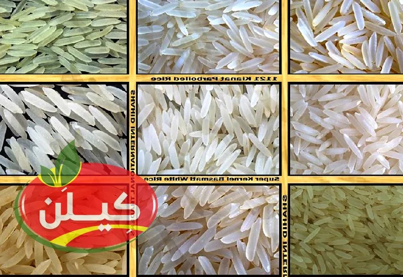 از بین برنج طارم و دم سیاه و صدری و هاشمی کدام برنج را خریداری کنیم؟