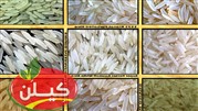 از بین برنج طارم و دم سیاه و صدری و هاشمی کدام برنج را خریداری کنیم؟