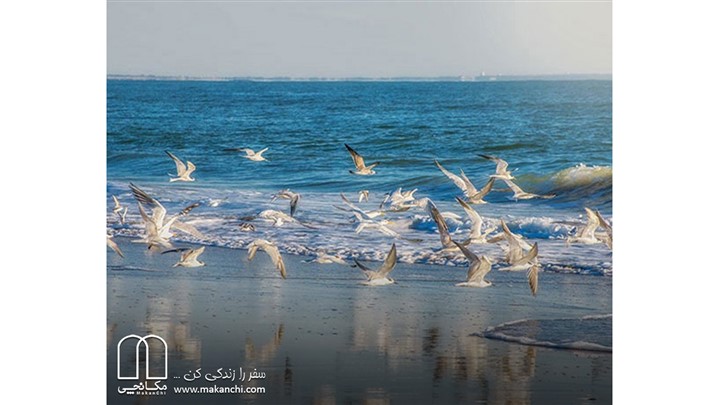 سفر به شهرهای گرم و دلنشین؛ یزد، بوشهر و قشم 