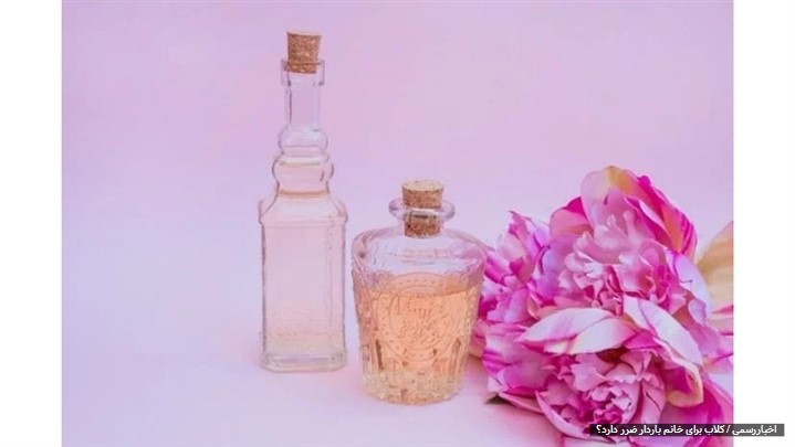 گلاب برای خانم باردار ضرر دارد؟