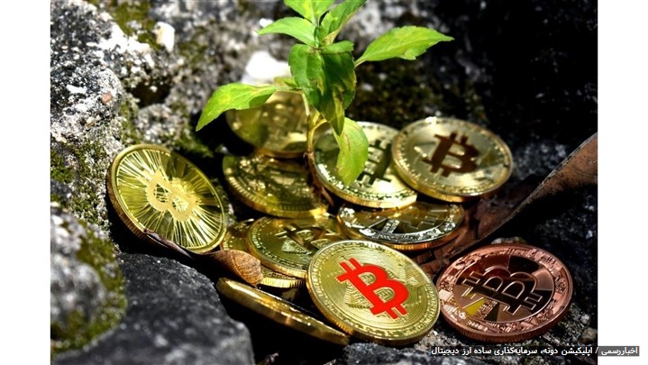 اپلیکیشن دونه، اولین برنامه ایرانی سرمایه‌گذاری در بازار رمزارزها