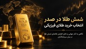افزایش سهم شمش طلا در بازار جهانی سرمایه‌گذاری فیزیکی