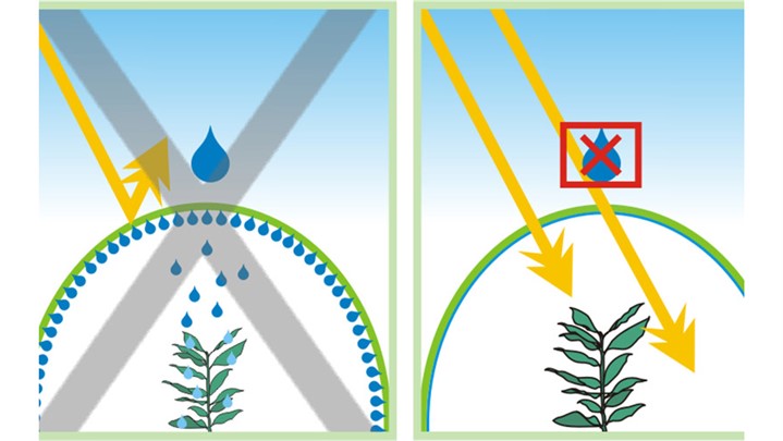 راهنمای خرید نایلون برای کشت گلخانه‌ای