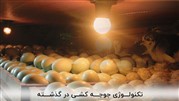 معرفی تکنولوژی جدید در ساخت دستگاه جوجه کشی تولید کننده ایرانی