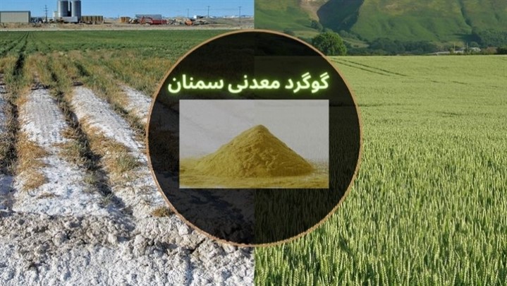 گوگرد معدنی سمنان-کاربرد گوگرد معدنی در کشاورزی گوگرد معدنی سمنان-کاربرد گوگرد معدنی در کشاورزی