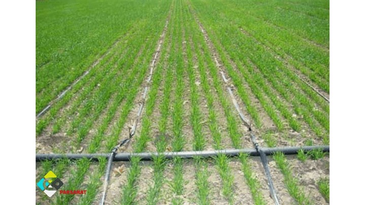 فاصله نوار تیپ در گندم+راهنمای خرید بهترین نوار تیپ برای گندم